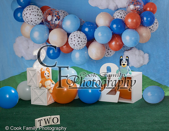 bluey 5x10