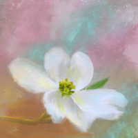 digital paintings