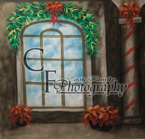 10x20 holiday hall canvas