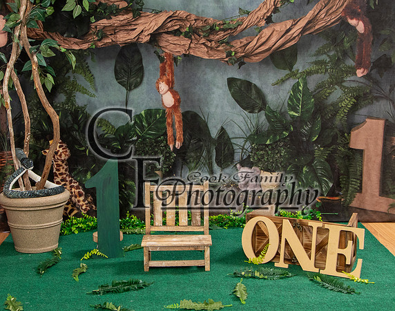 jungle 5x7